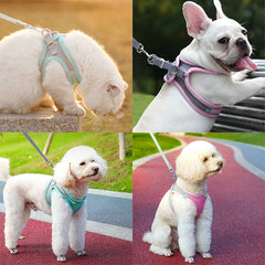 Cat Harness and Leash Set