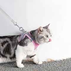 Cat Harness and Leash Set