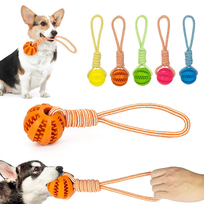 Pet Treat Ball