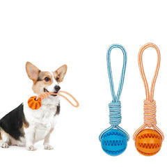 Pet Treat Ball