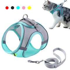 Cat Harness and Leash Set