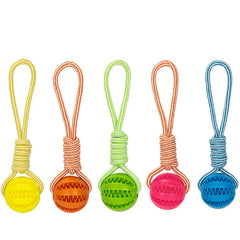 Pet Treat Ball