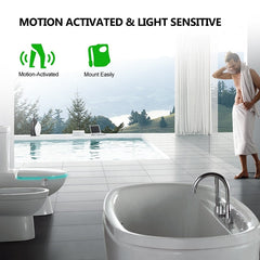 Toilet Multicolor Motion Sensor LED Night Light